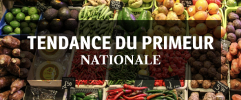 Illustration Tendance du primeur nationale janvier 2025