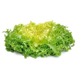 Frisée fine salade Cat1 (à la pièce) +/- 500g