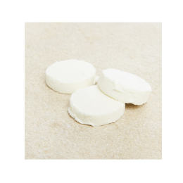 Fromage de chèvre frais en palet Ø4.5cm 23%Mg (20g x12)