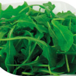 Roquette (250g x8)