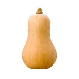 Butternut